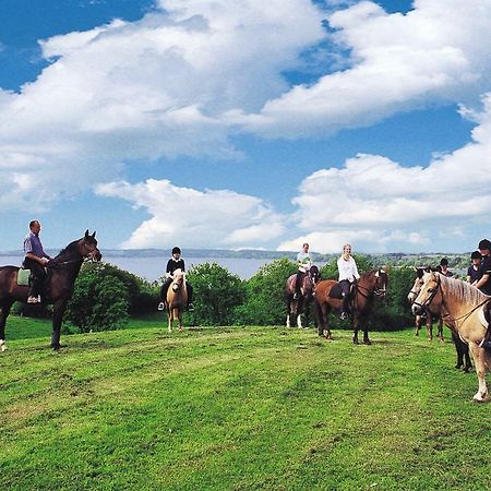Ponyhof Naeve Am Wittensee Gross Wittensee Eksteriør billede