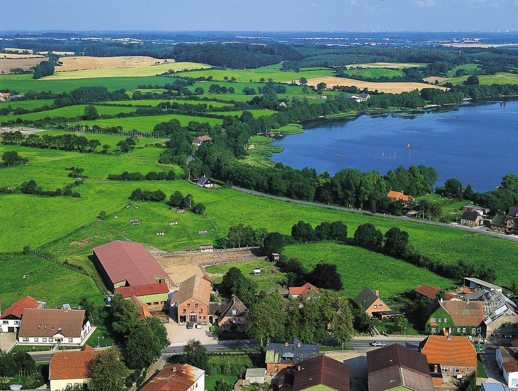 Ponyhof Naeve Am Wittensee Gross Wittensee Eksteriør billede