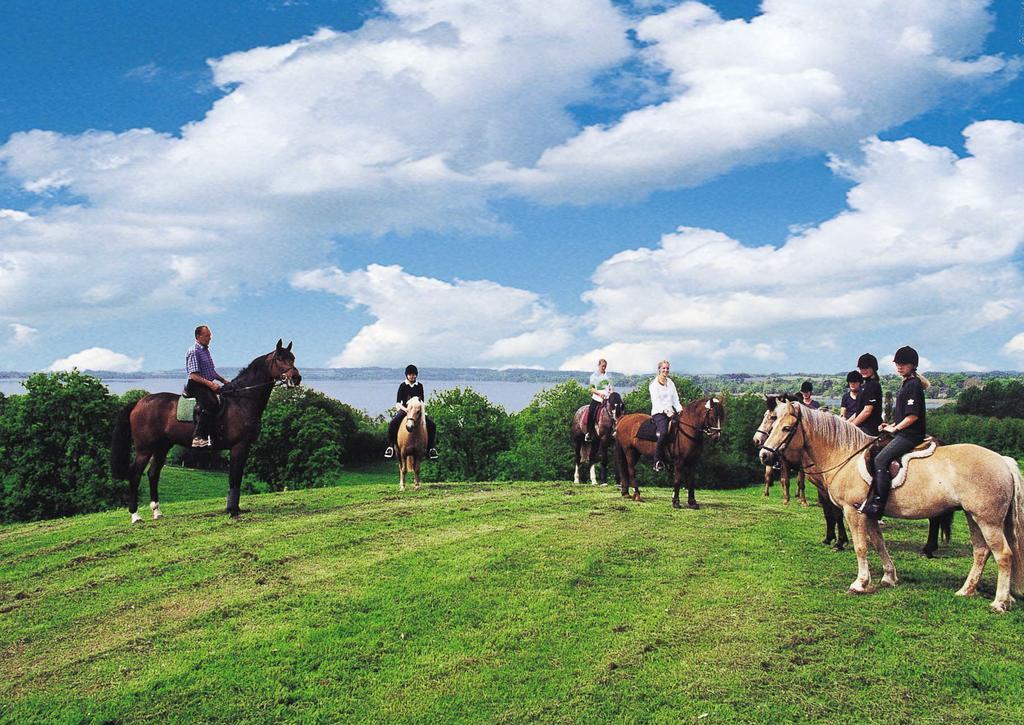 Ponyhof Naeve Am Wittensee Gross Wittensee Eksteriør billede