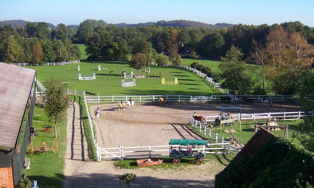 Ponyhof Naeve Am Wittensee Gross Wittensee Eksteriør billede