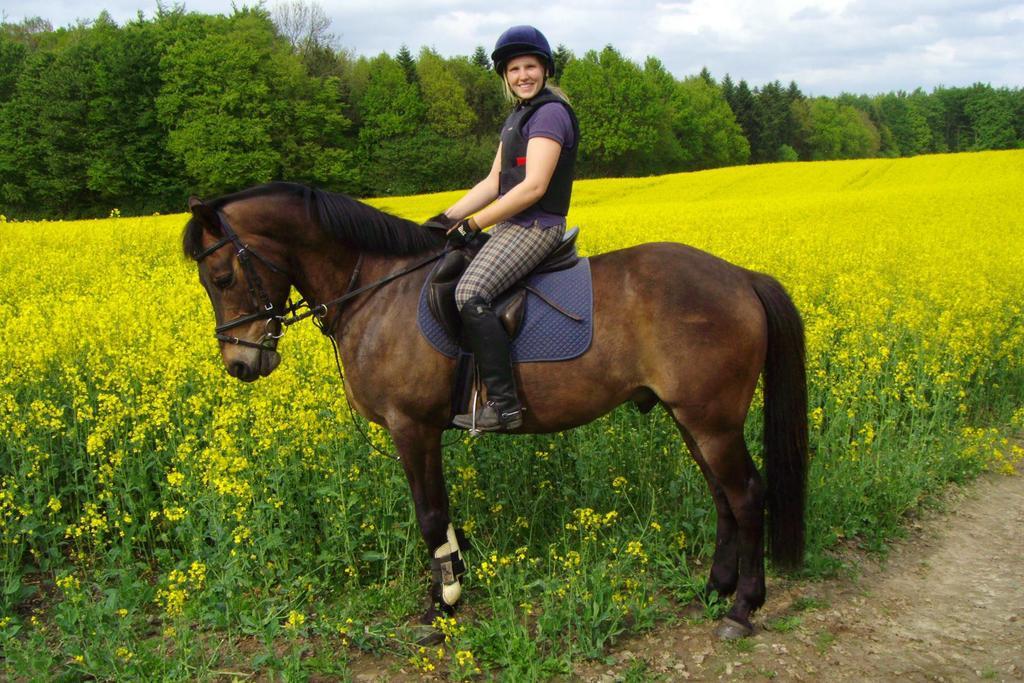 Ponyhof Naeve Am Wittensee Gross Wittensee Eksteriør billede